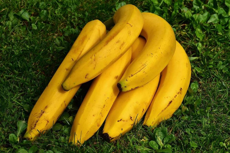 糖尿病可以吃香蕉么糖尿病人可以吃什么水果